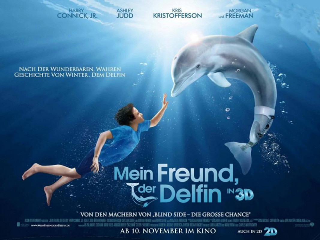 Dolphin-tale-poster Printing in China SWP31-14