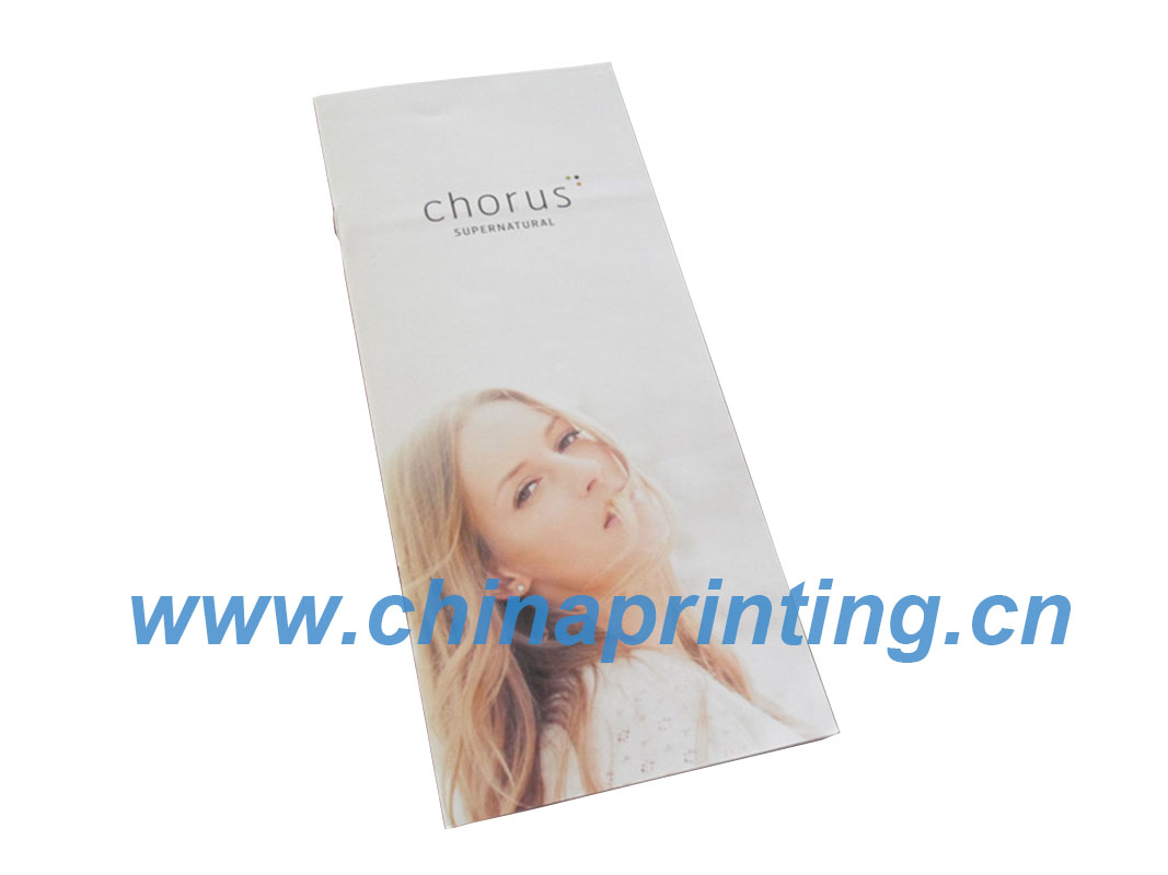 High Quality Canadian Brochure Printing in China SWP6-14