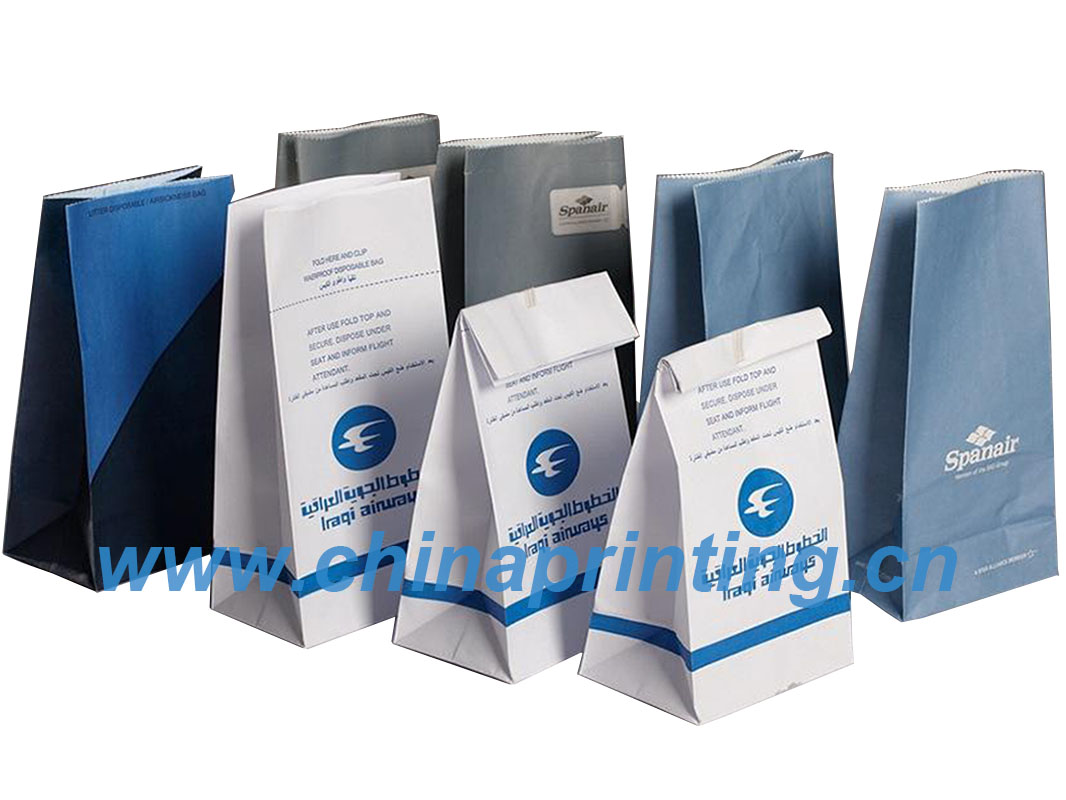 High quality sickness paper bag printing in China SWP9-6