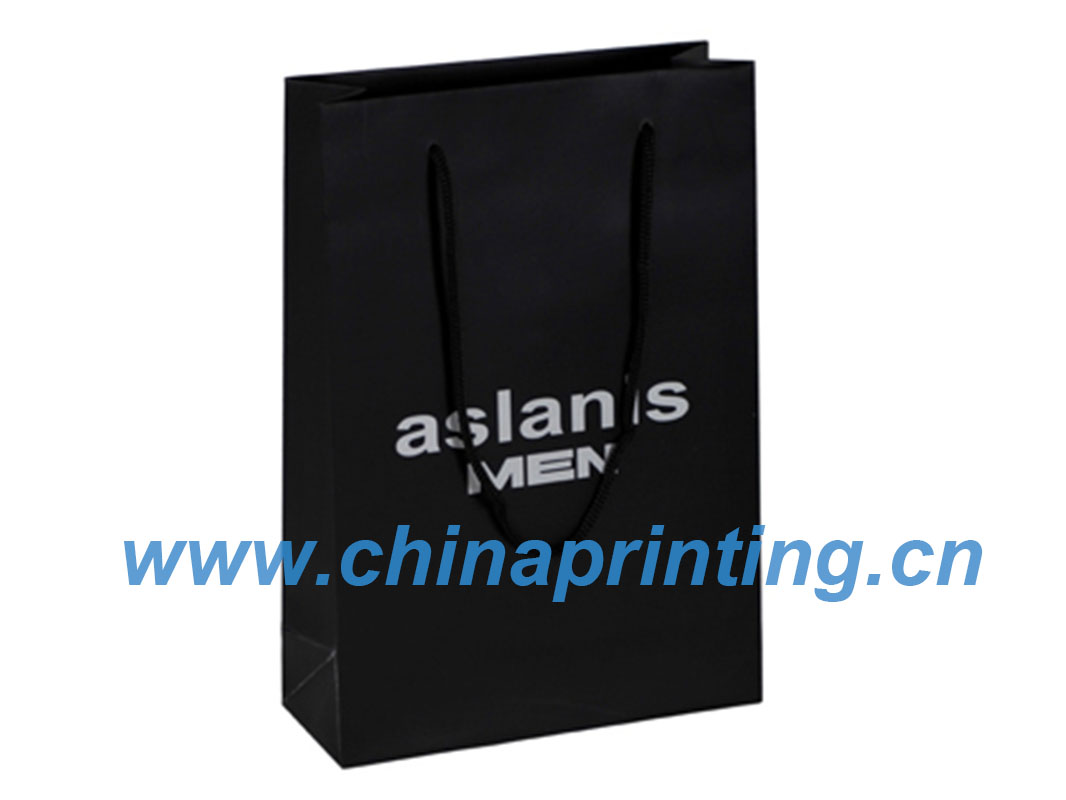 High Quality Nice art paper printing in China SWP11-19