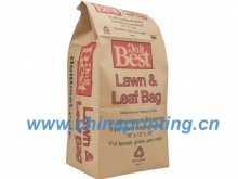 High quality Kraft Paper Bag Printing in China SWP8-18