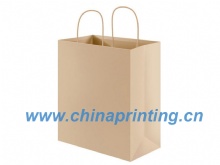 Paper Bag Plain Brown Kraft Printing in China SWP8-17
