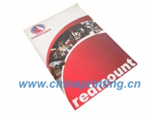 High Quality Ireland Irish Booklet Printing in China SWP6-11