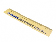 High quality Ruler printing with company logo in China SWP25-3