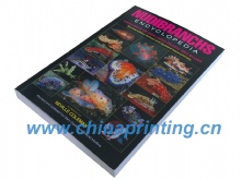 Australia softcover Book printing in china 2015 SWP2-12