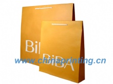 High Quality  paper bag printing with nylon handle SWP11-13
