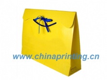 High Quality Gift paper bag printing in China SWP11-21