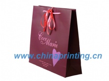 High quality gift art paper bag printing in China SWP11-12
